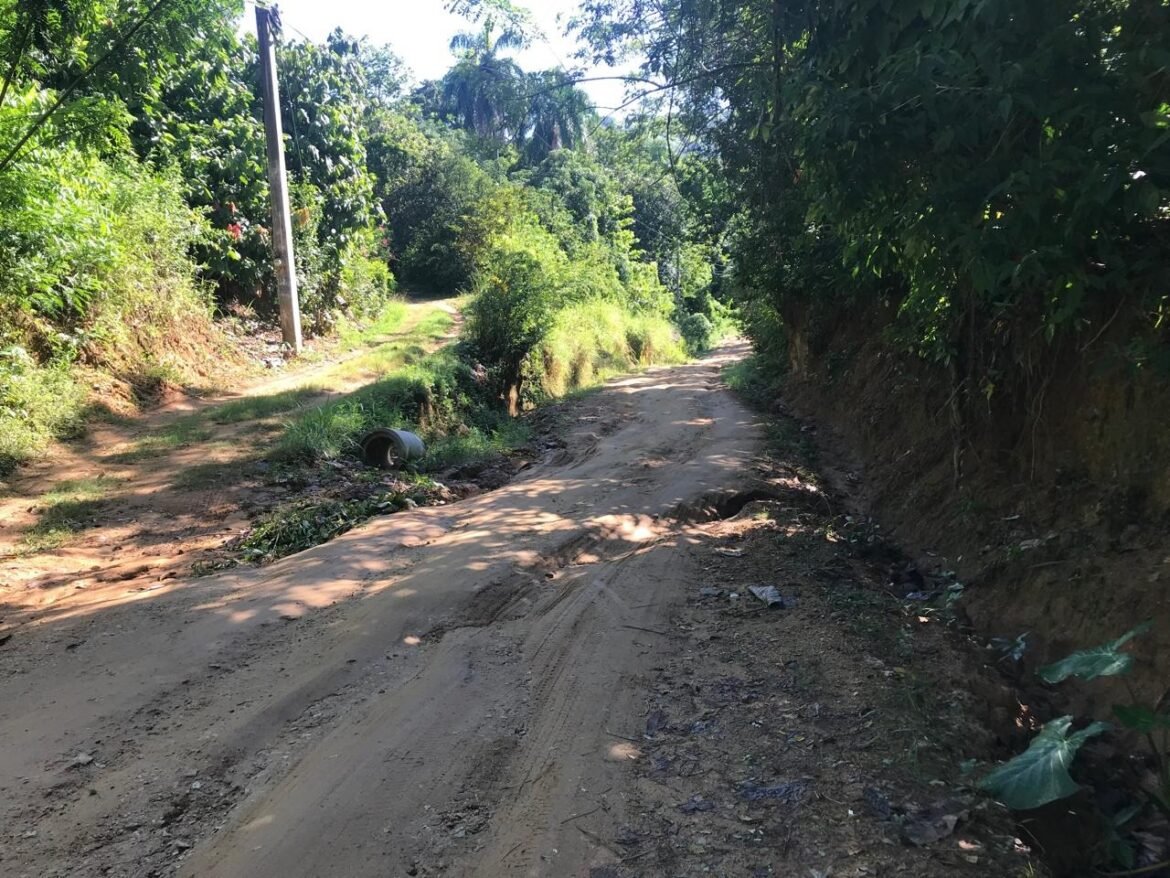 WhatsApp Image 2024-11-08 at 9.28.01 AM