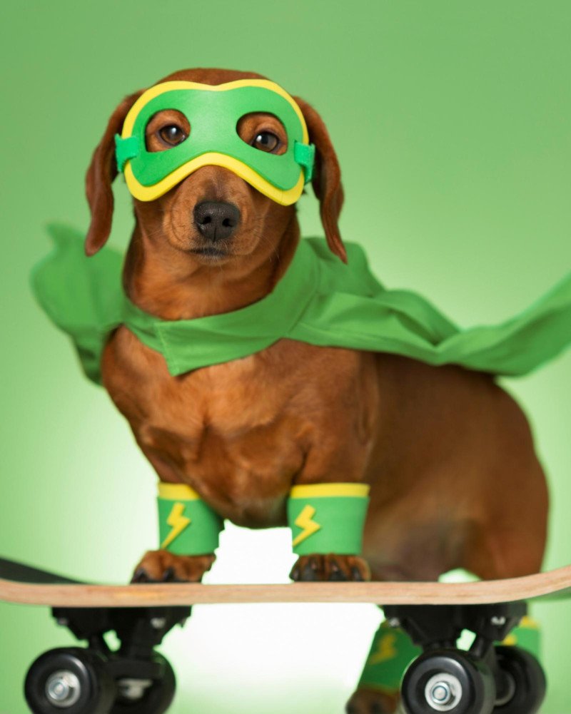 68bf54fb836a2.r_d.880-503