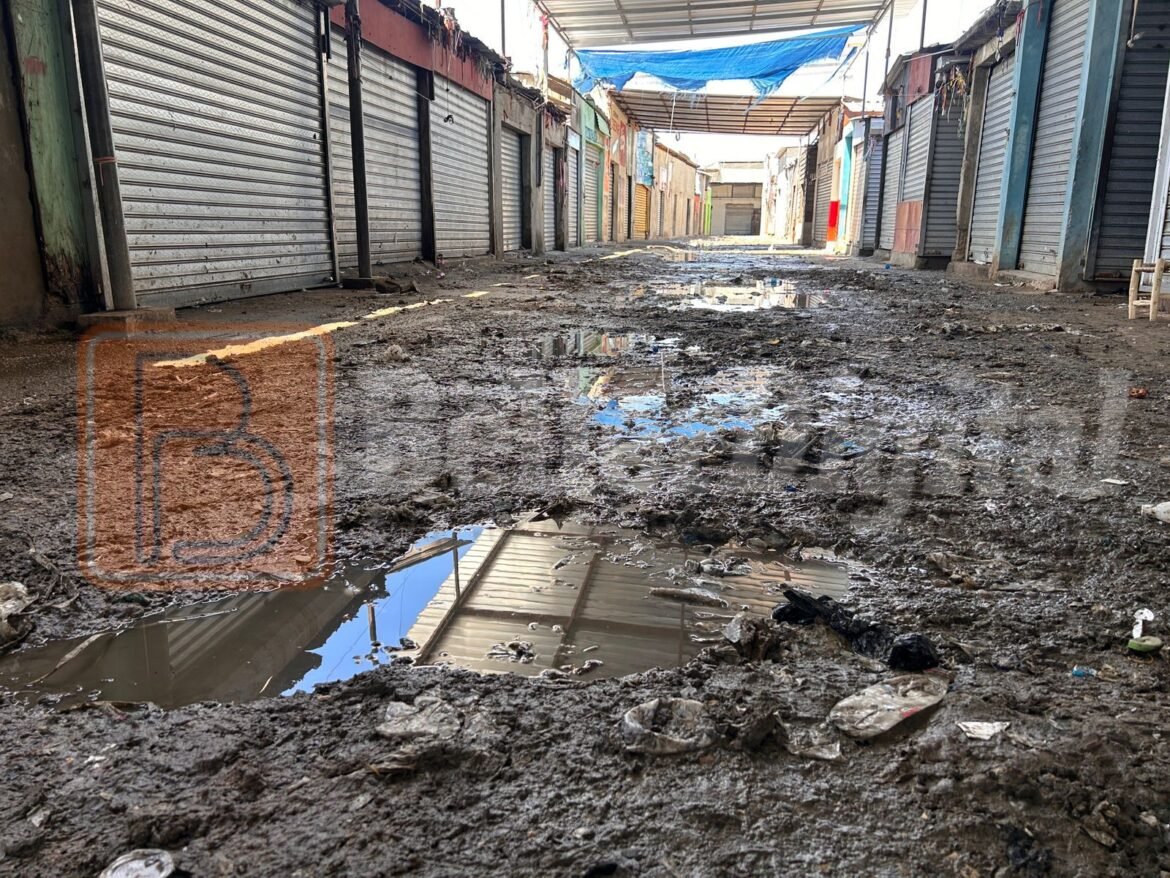 WhatsApp Image 2025-09-09 at 11.55.33 AM